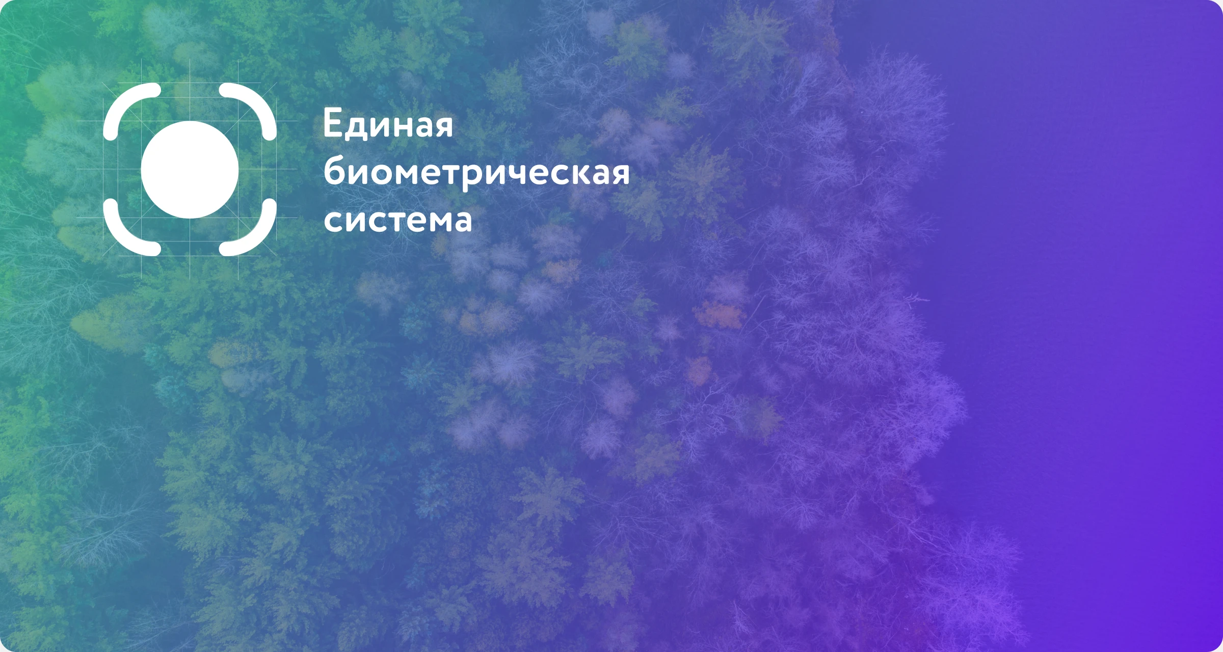 Единая биометрическая система — обложка